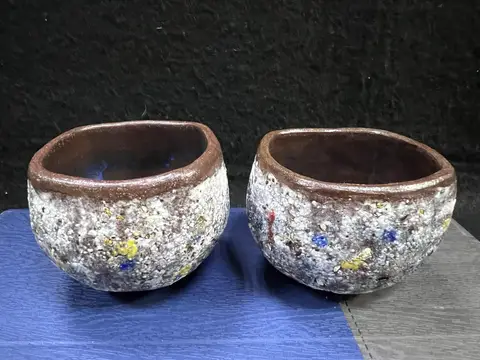 踏雪